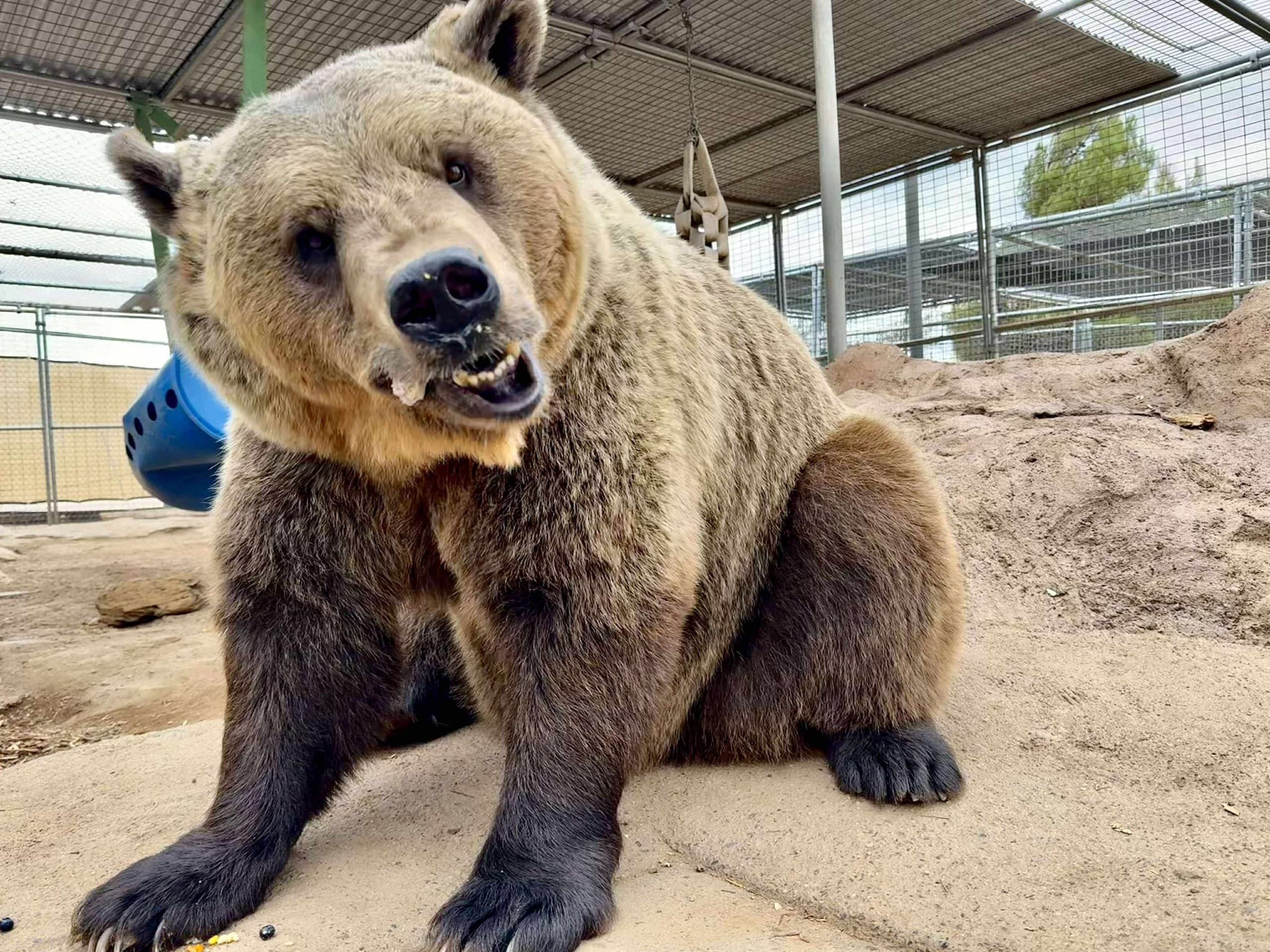 Bring the Whole Group: Large-Group Admission to Forever Wild Exotic Animal Sanctuary