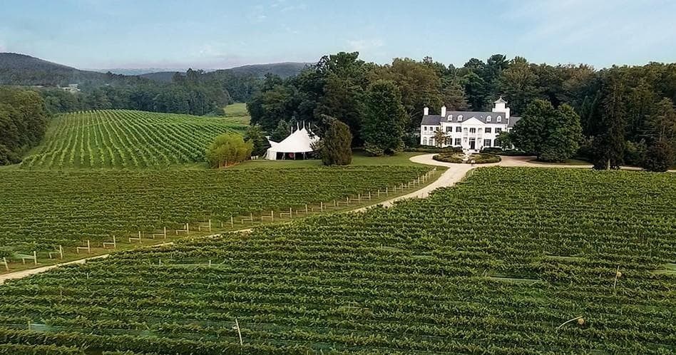 Horseback Riding & Wine Tasting Near Charlottesville, VA