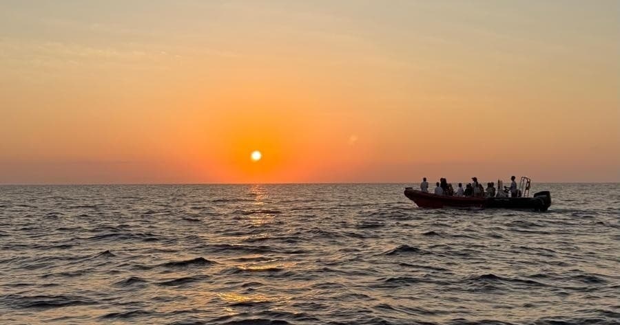 Wild Dolphin Exclusive: Semi-Private Dolphin Watching & Swim at Es Coll Baix, Alcudia