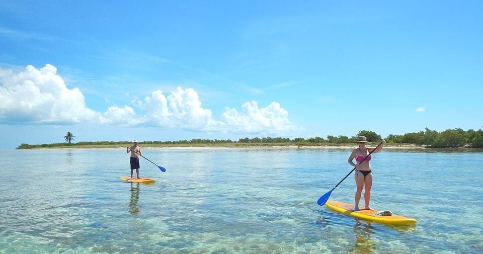 Stand-up paddleboard on shallow turquoise flats at reef