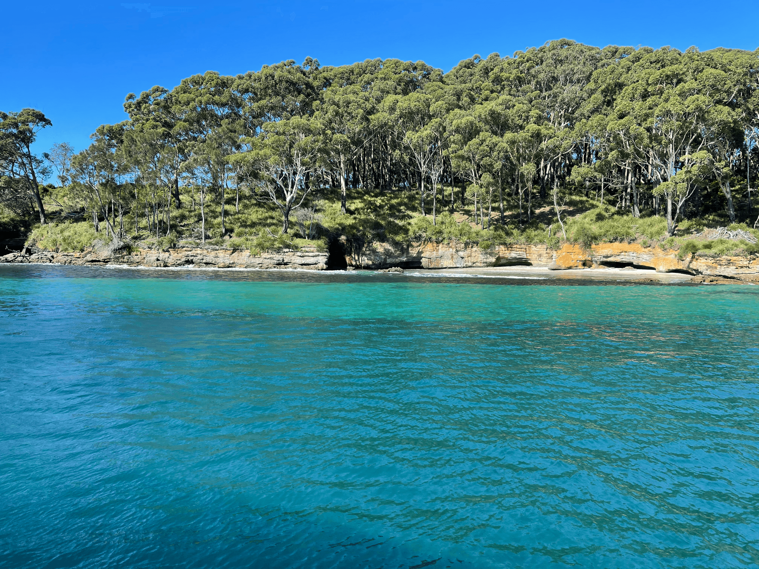 Jervis Bay 125th International Fleet Review Cruise: Front-Row Naval Sightseeing from Huskisson photo 2