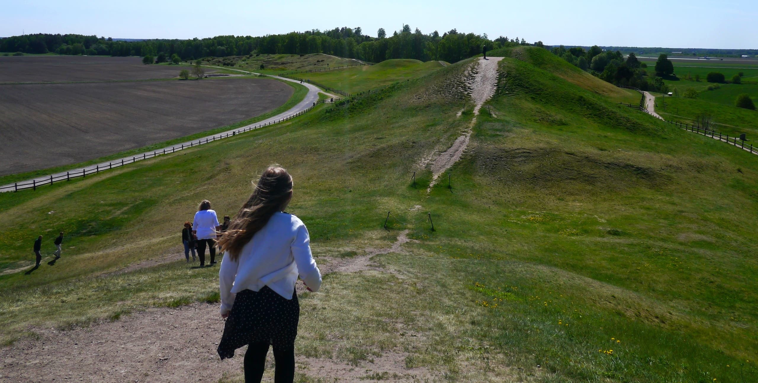 Historical Land Adventure: Viking & Vendel Tour at Old Uppsala
