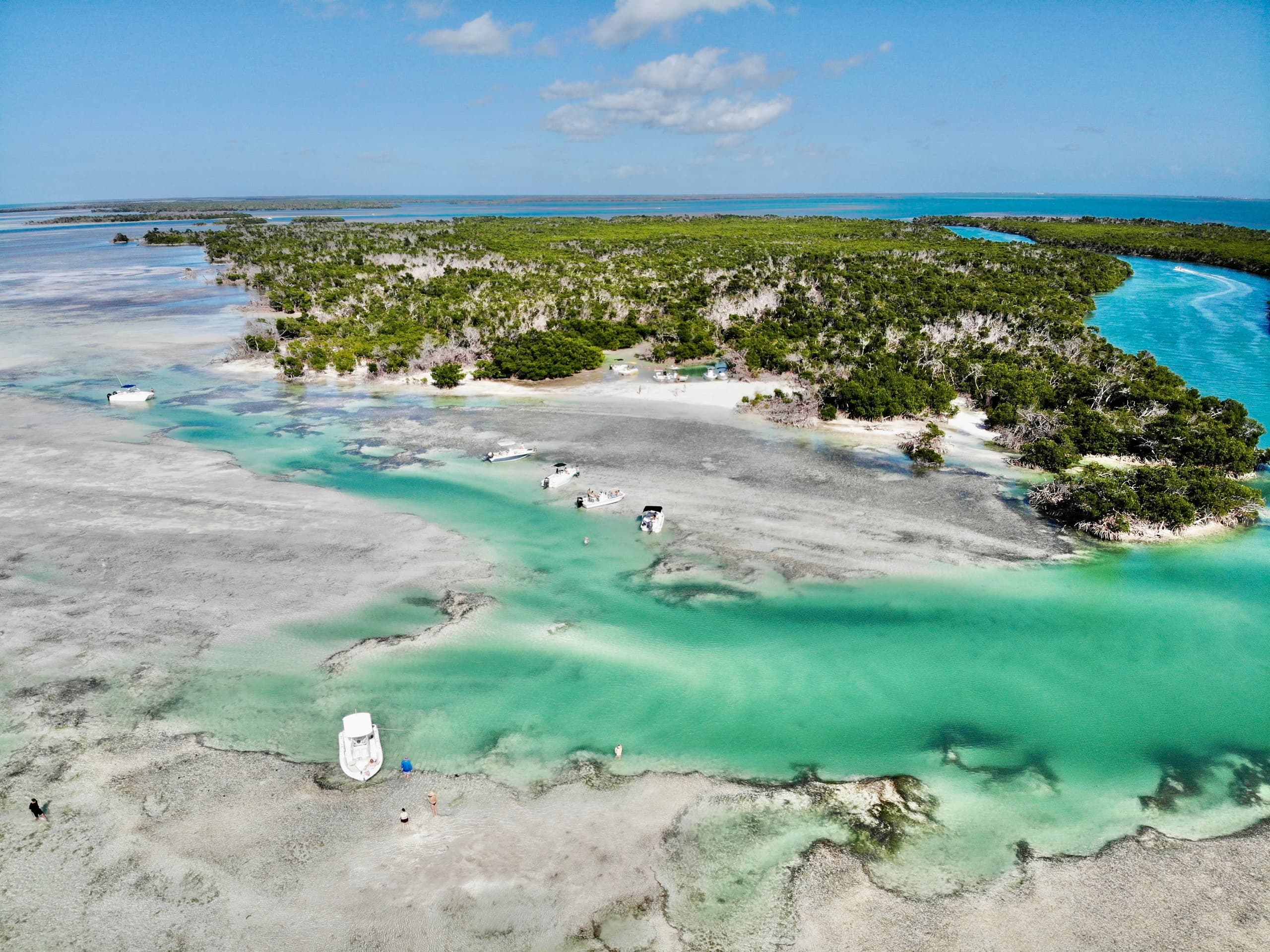 Snorkelers exploring colorful coral reef near Key West