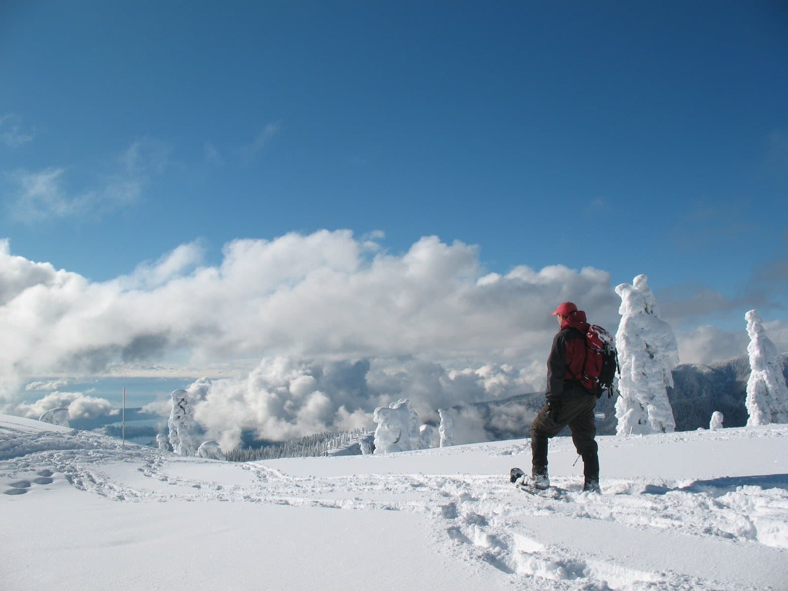 Winter Snowshoe Adventure at Crystal Mountain