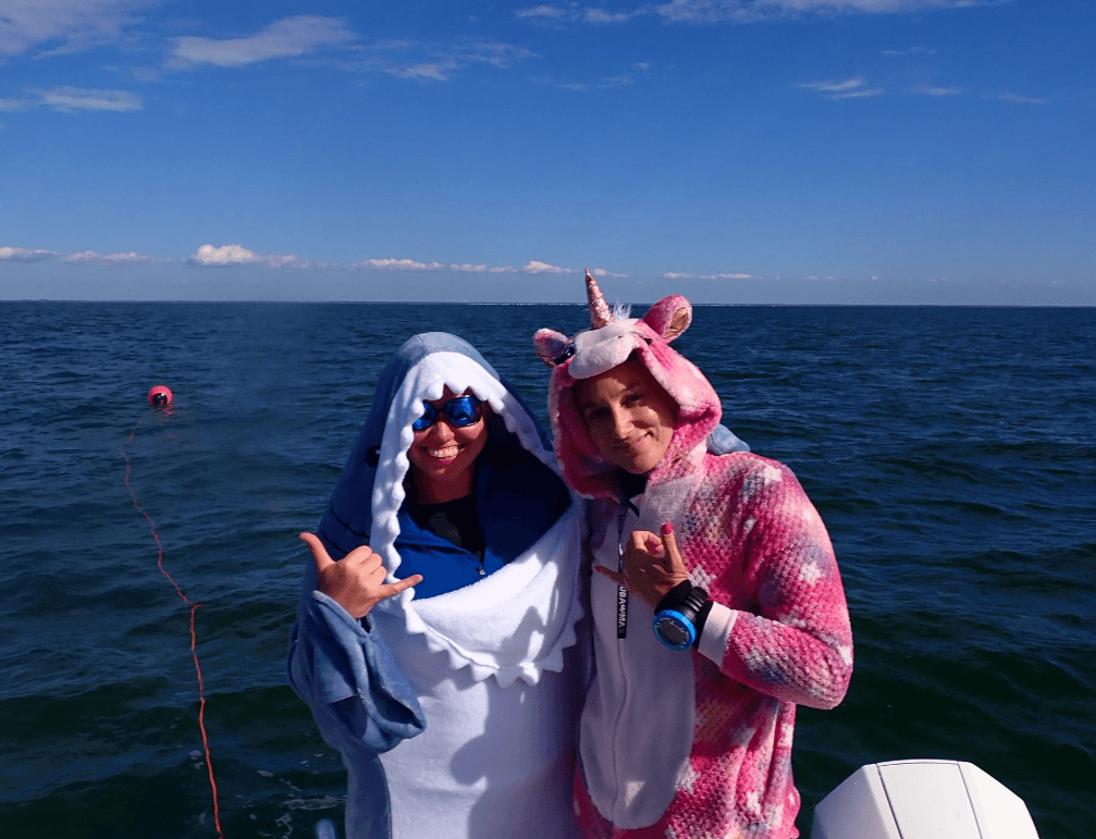 Pumpkins & Reef Balls: Hernando Beach Halloween Dive