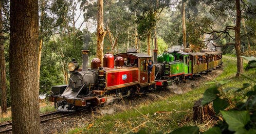 Heritage steam train traveling through forested scenic park