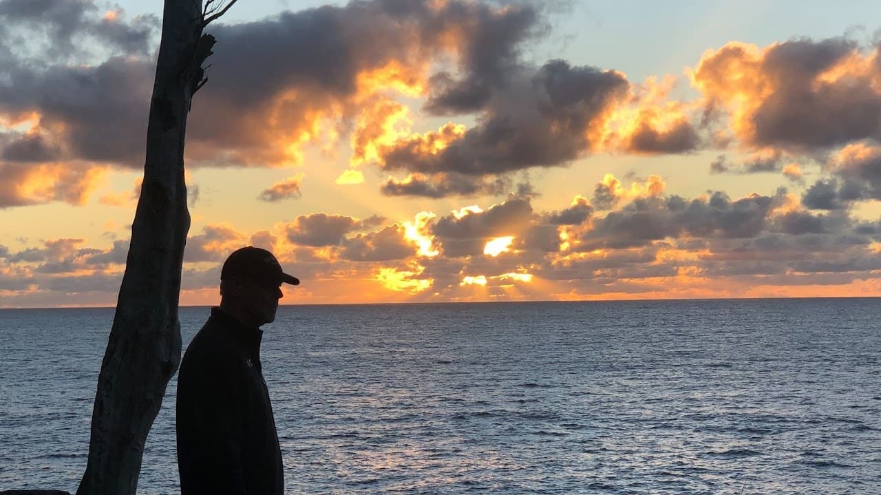 Person silhouetted watching ocean sunset from a tree-lined shore