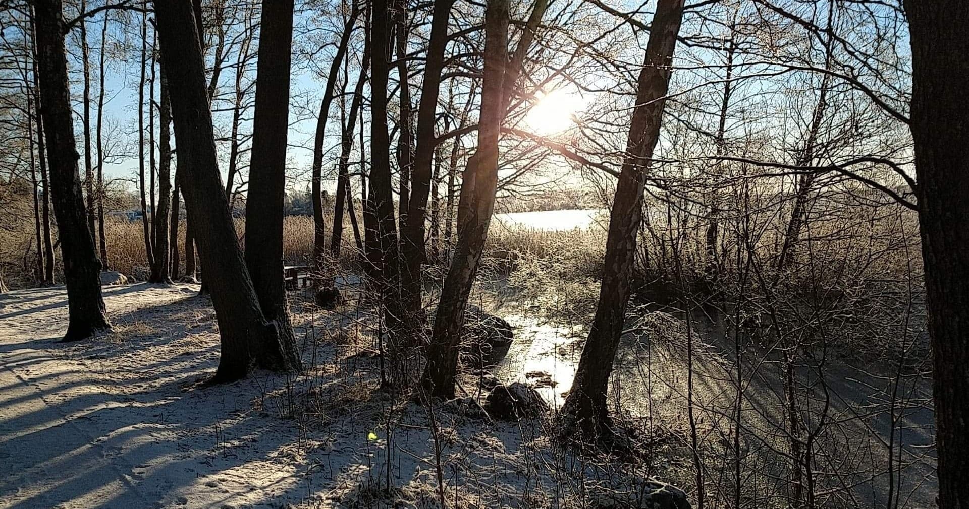 Historical Walking Tour in Sweden's Runic Kingdom with Sweden History Tours