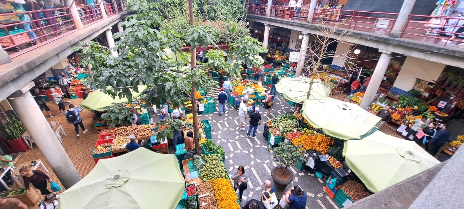 Savor Madeira: A 4-Hour Food and Cultural Walking Tour in Funchal
