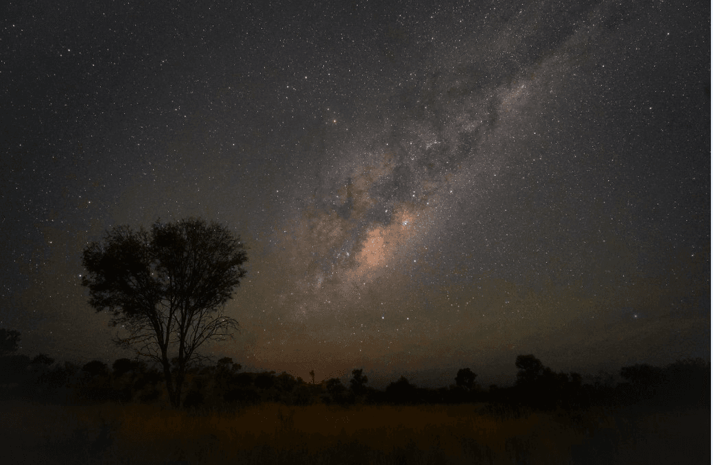 Milky Way over open savanna at night, ideal stargazing vista
