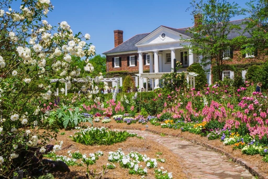 Historic Charleston Tours with Charleston History Tours