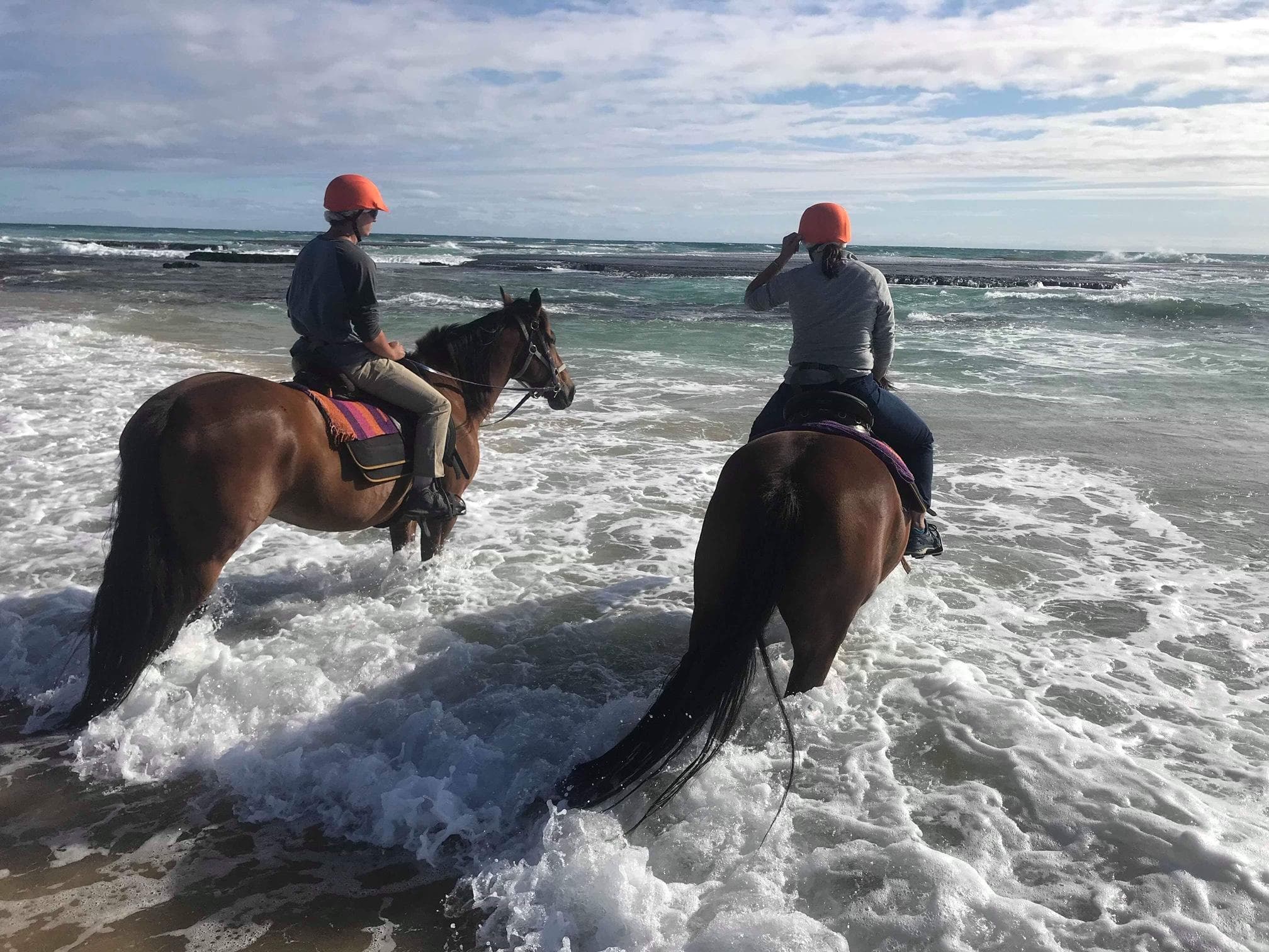 Explore St Andrews Beach on a Private Horseback Ride through Coastal Bushland and Sand Dunes