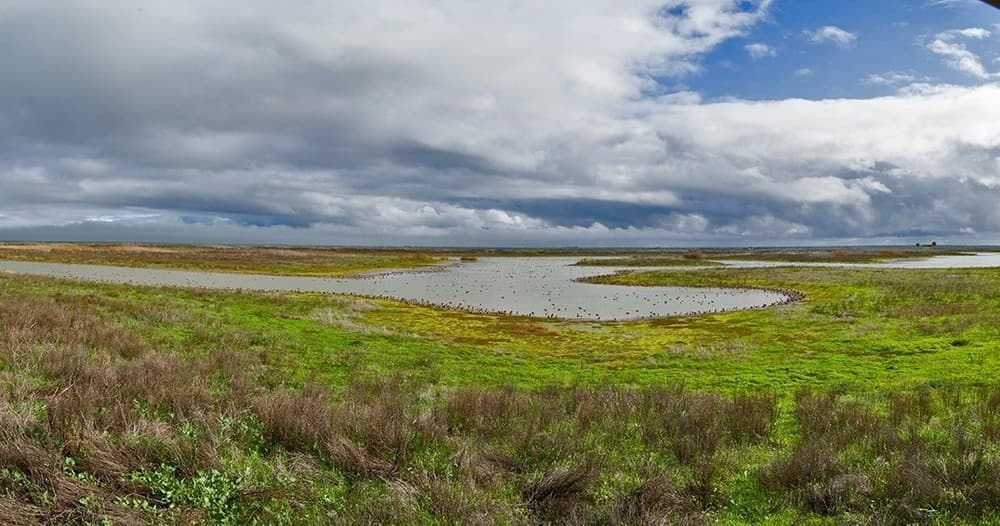 Scenic coastal salt marsh panorama with wetlands and sky