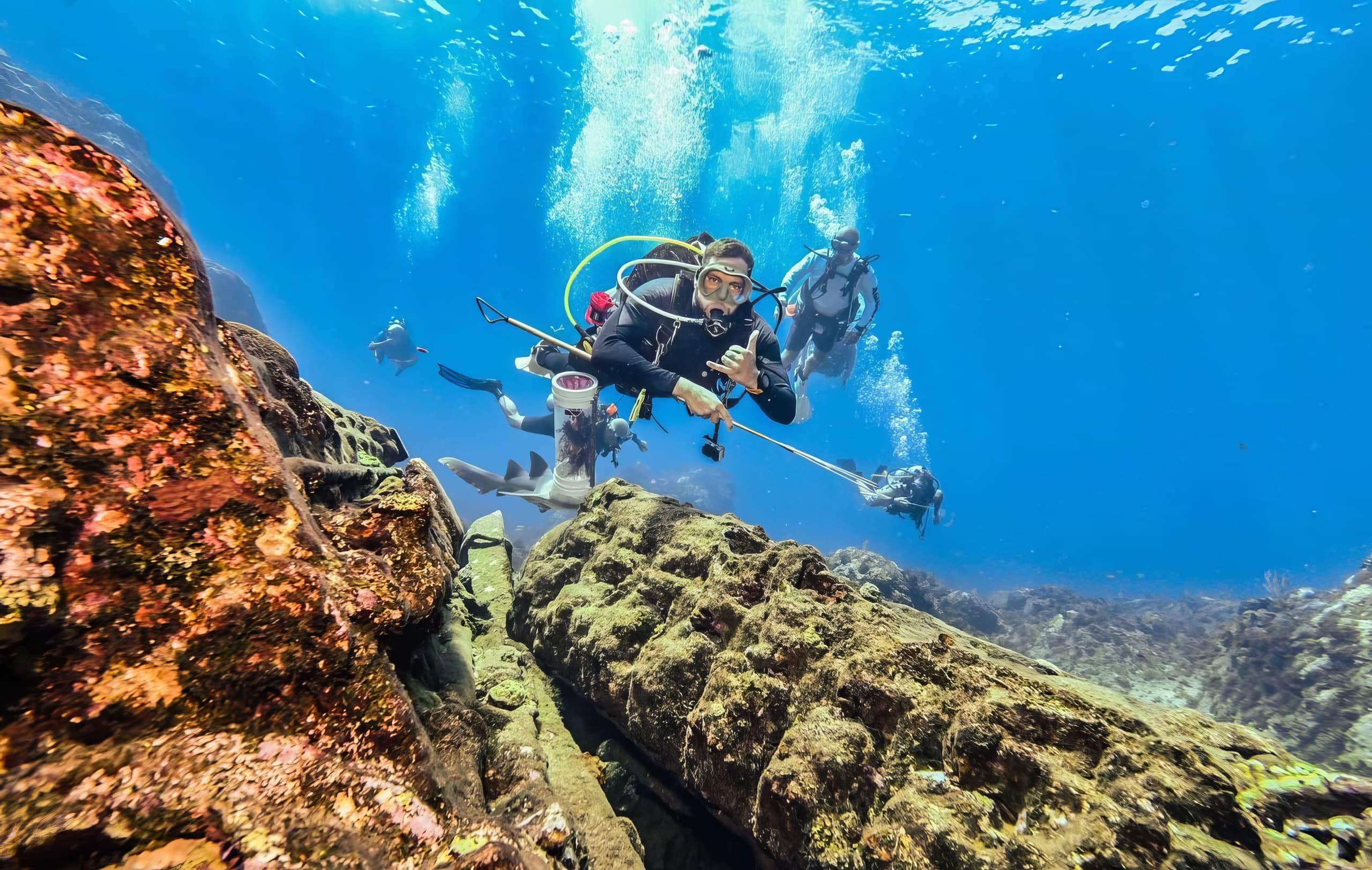 Scuba divers exploring vibrant coral reef in clear blue sea