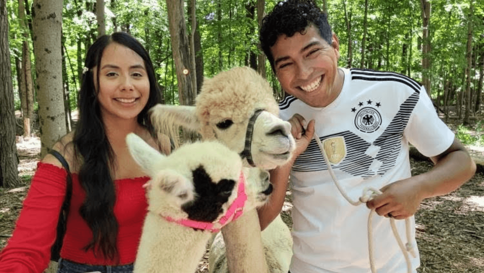 Land Adventures at Lilymoore Farm: Private Alpaca & Llama Trek