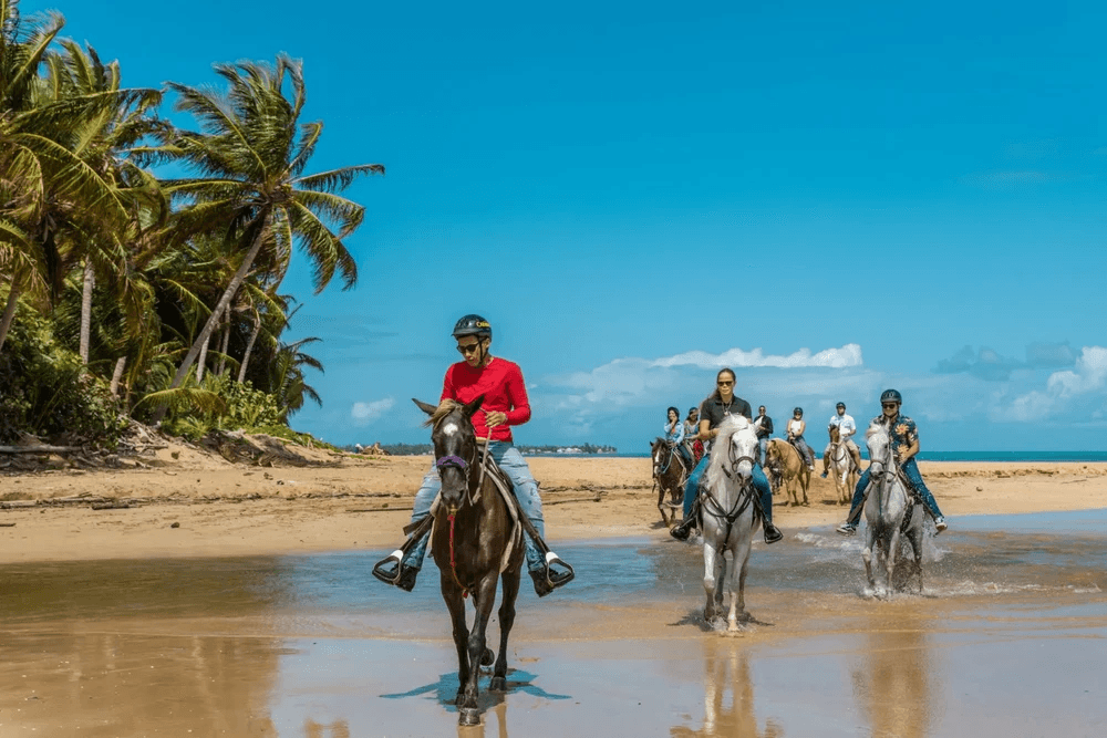 Horseback Riding at Carabali Rainforest Park — Luquillo Rainforest & Beach Tours