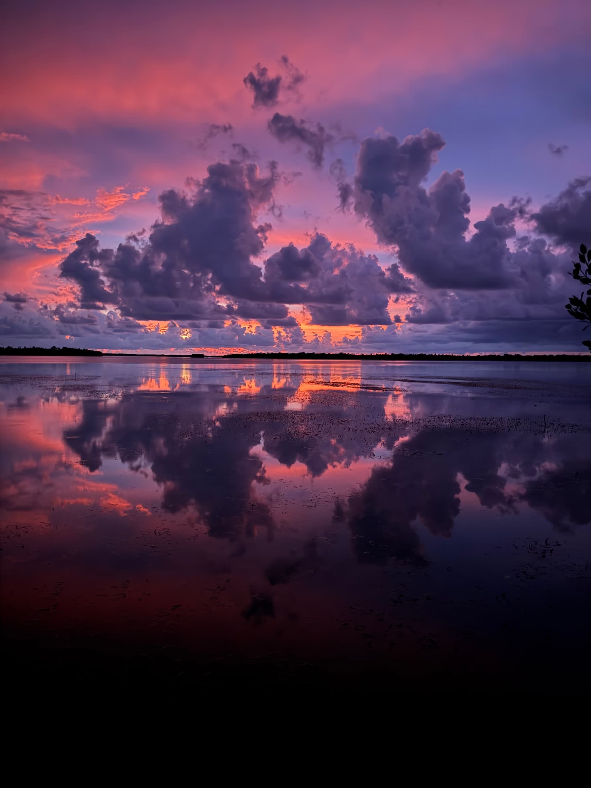 Half-Day Eco Tour & Sunset Cruise Aboard the 24' Pathfinder in Big Pine Key