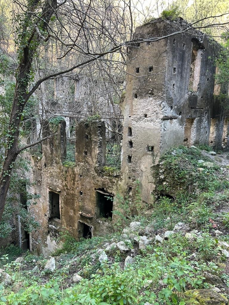 Hiking the Valle delle Ferriere with Epicureo.it in Amalfi