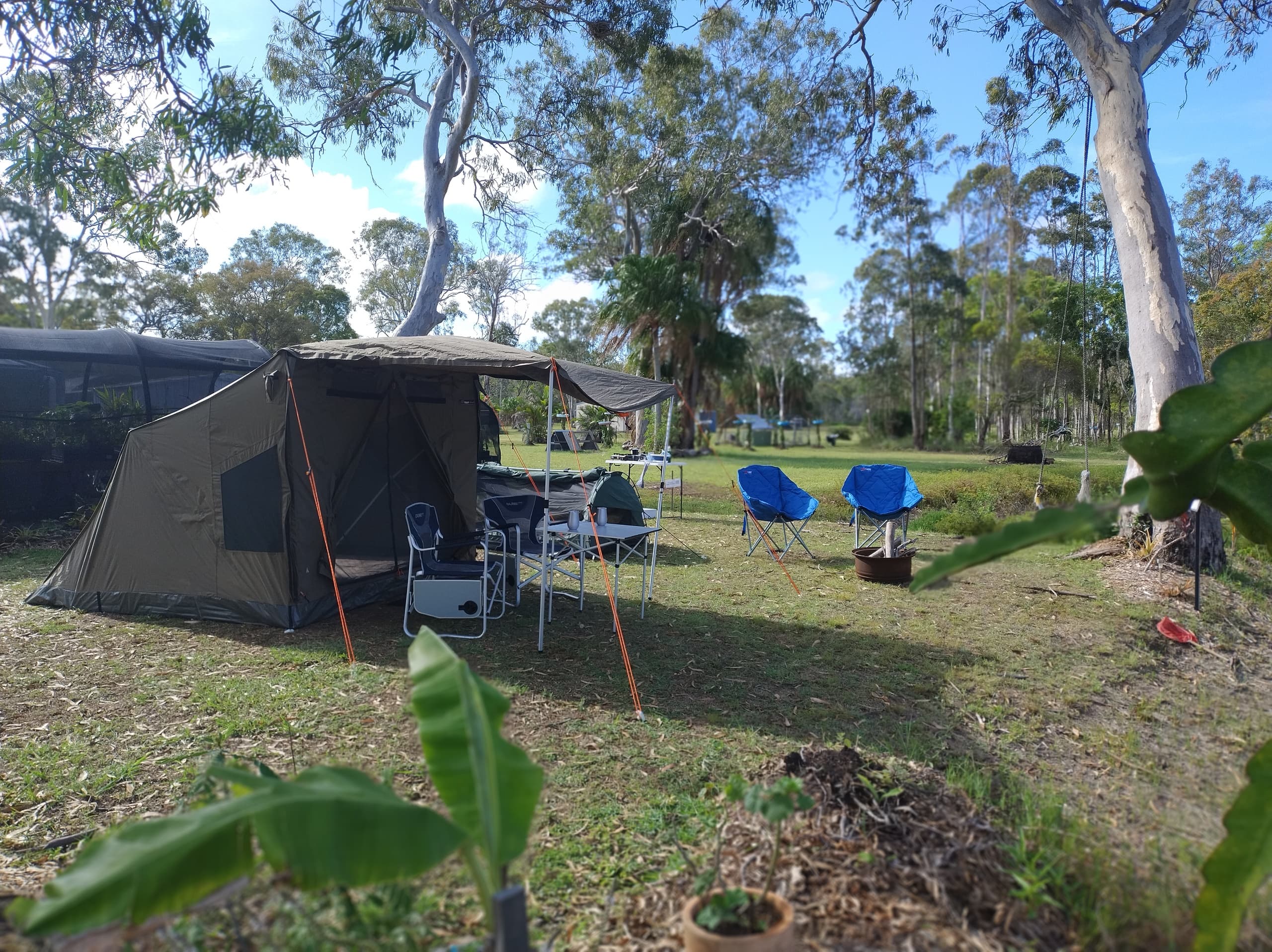 Wildlife & Camping at Travellers Rest Safari Tent