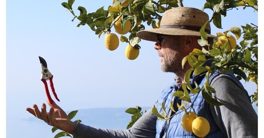 Provence Citrus Estate Tour with Farm Experiences & Tours