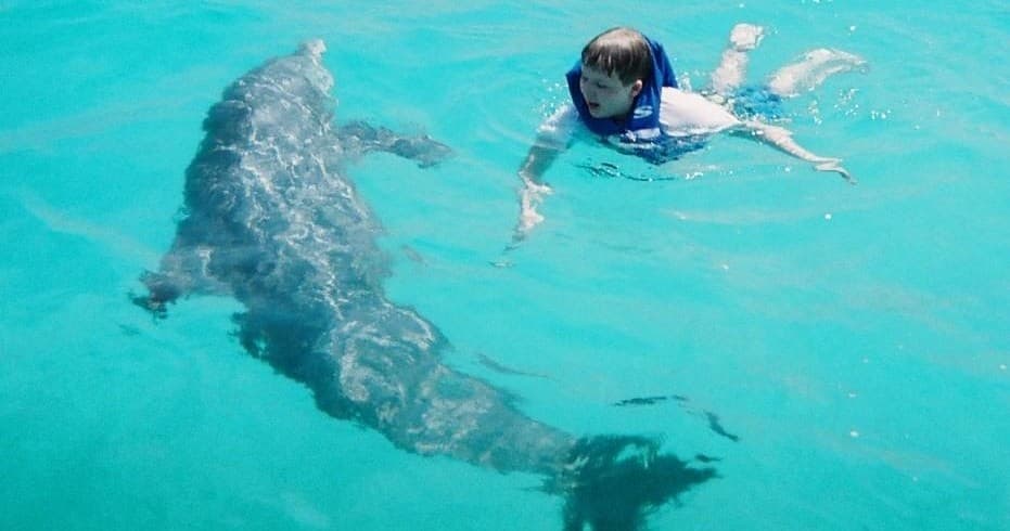 Dolphin Snorkeling Adventures at Shell Island, Florida