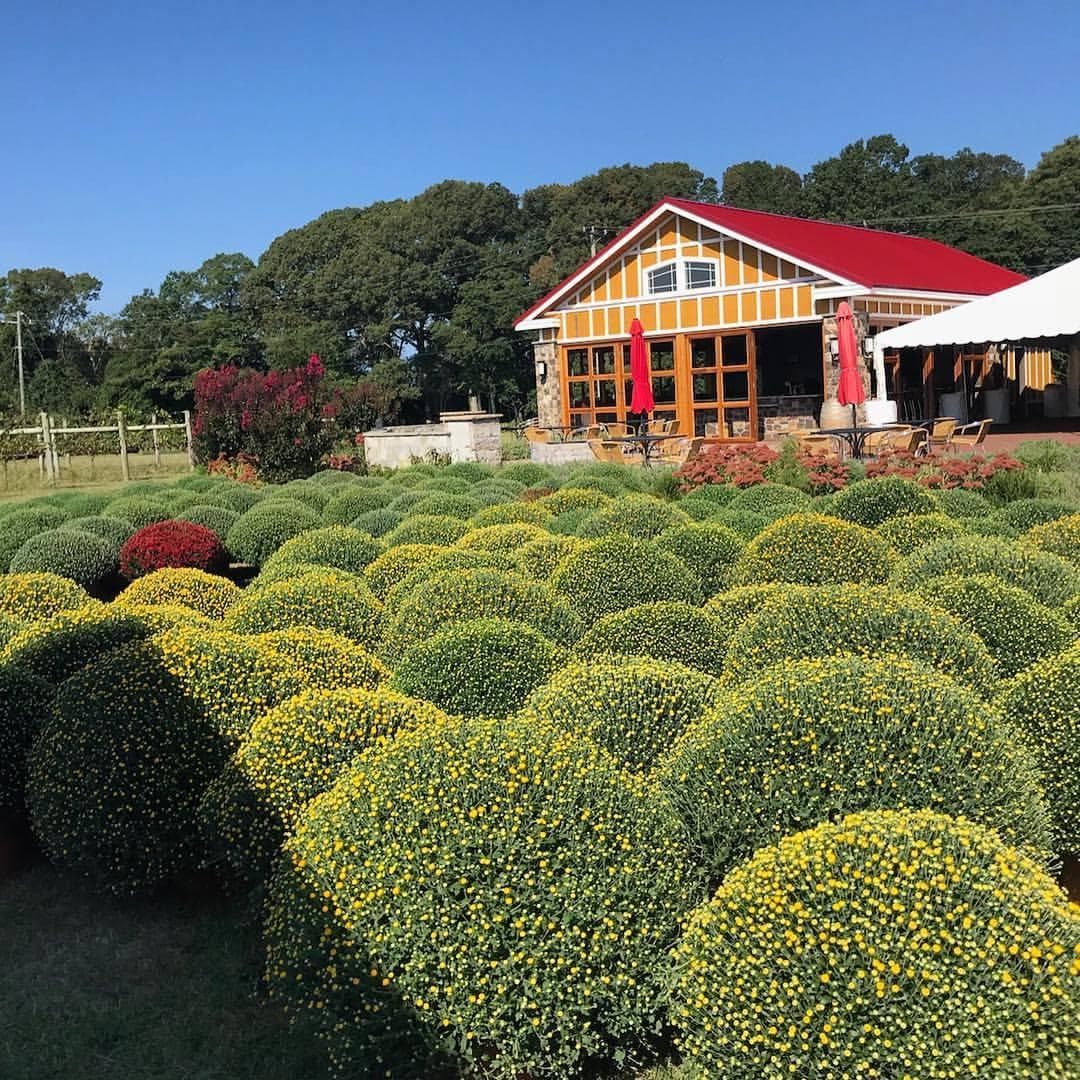 Scenic winery exterior and rounded garden beds at Cape May estate