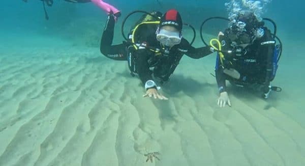 Open Water Diver Course with Ohana Diving in Cambrils