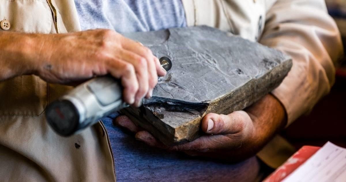 Full Day Quarry Access Fossil Digging in Delta, Utah