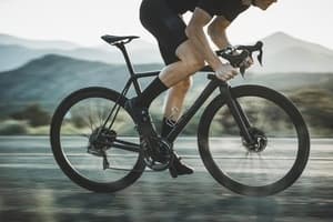 Land Adventures with High Peaks Cyclery Mountain Adventures