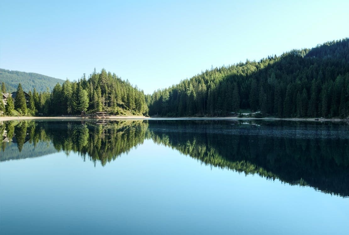Rowboat Rental on Cabin Lake with Currie's Guiding