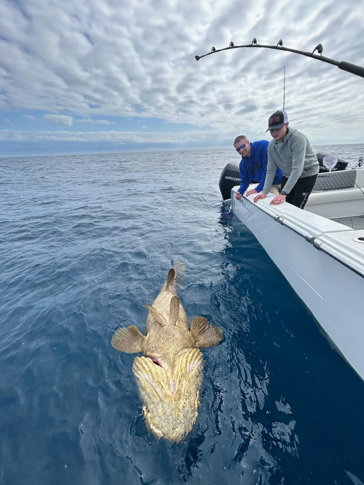 Reef and Wreck Fishing in Naples: Half-Day Charters on the Bottom Line photo 2