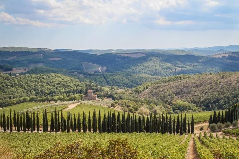 Chianti Half Day Tour: Sip Chianti Classico Among Tuscan Hills