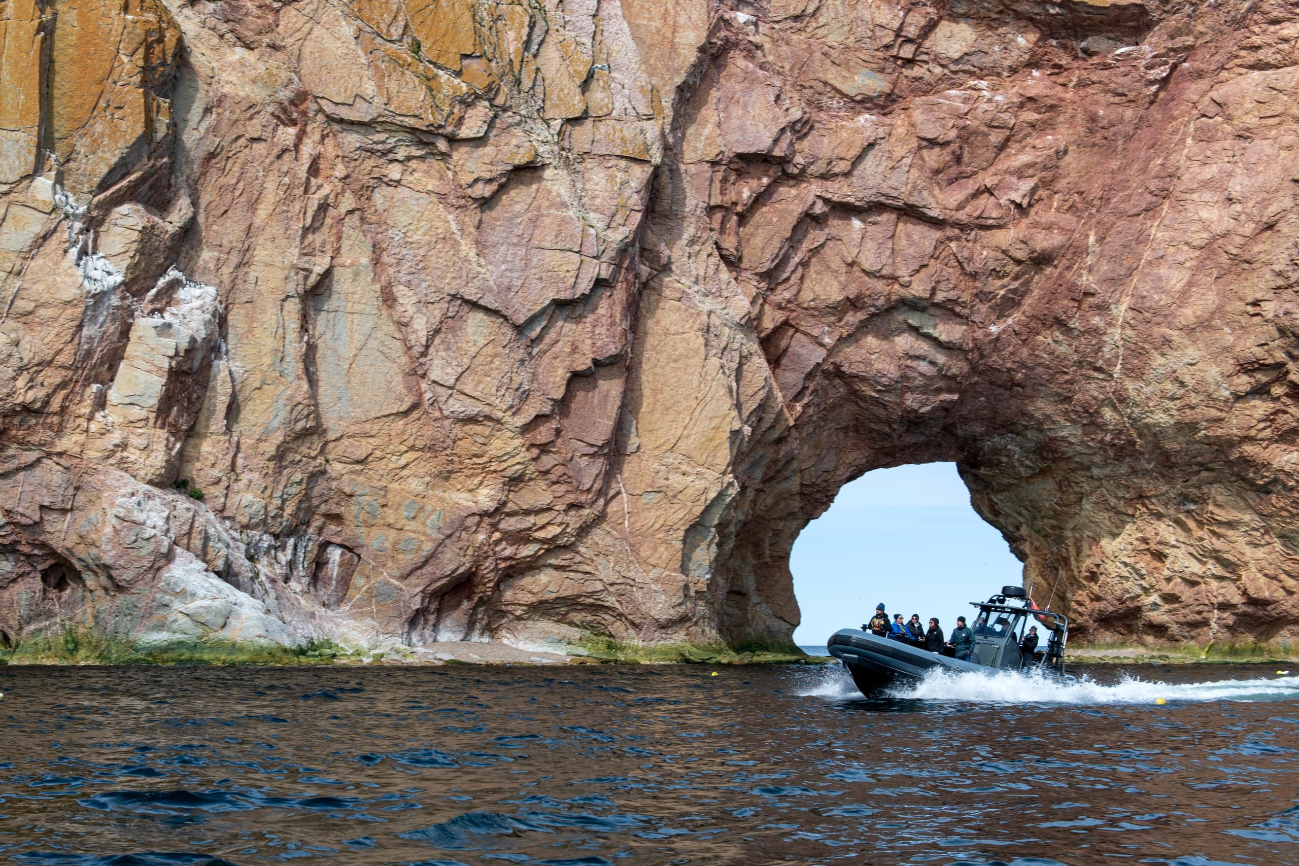 Diving Adventures at Club Nautique de Percé
