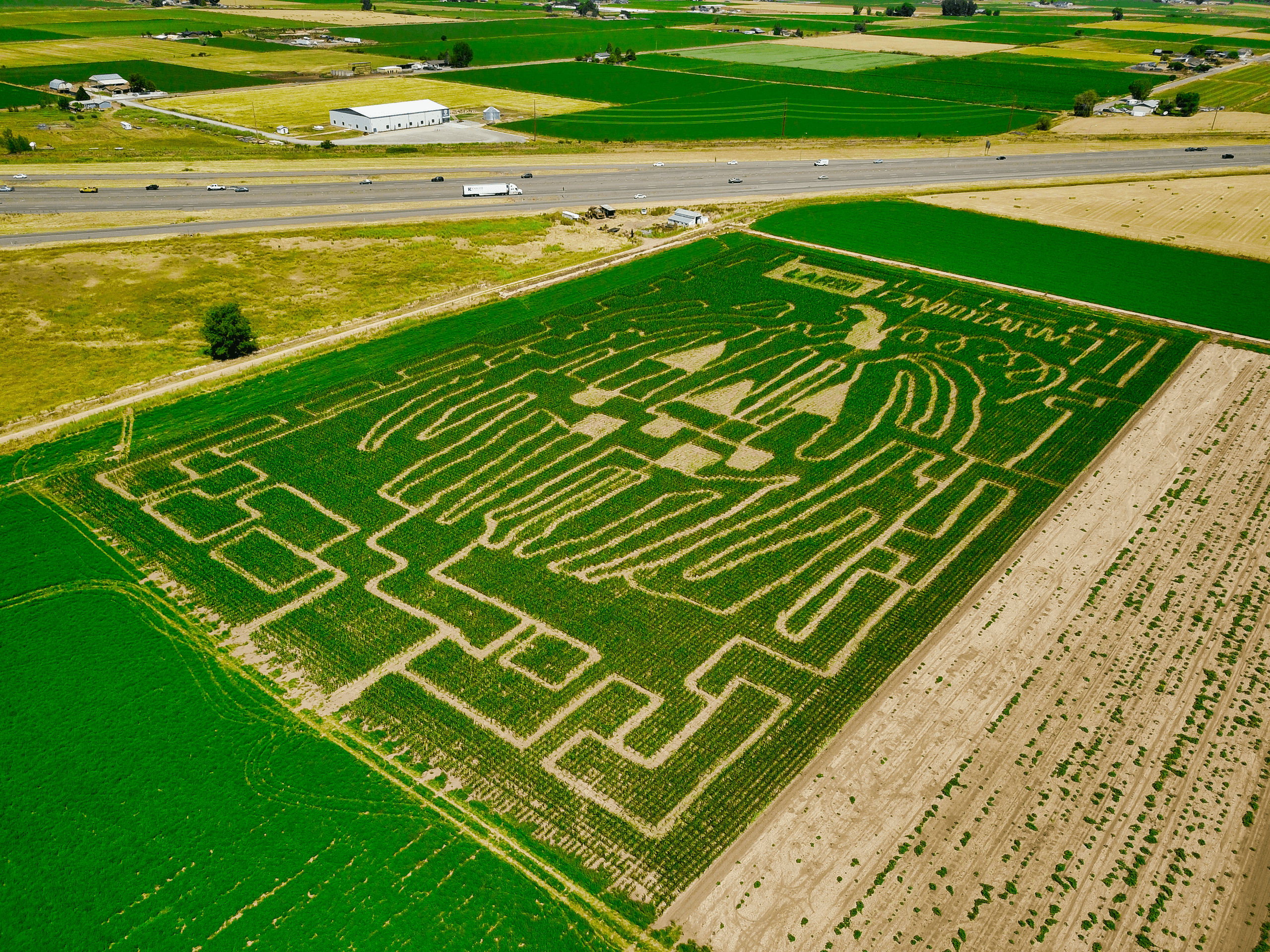 Fun Fall Adventures at Glen Ray's Corn Maze in Spanish Fork