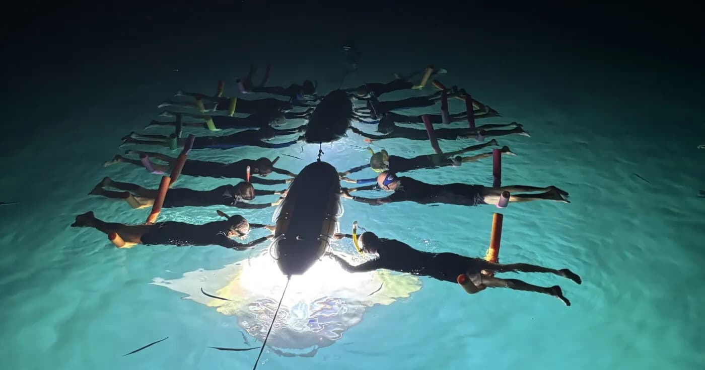 Night Snorkel Adventure in West End, Roatán — See the Reef’s Nocturnal Life