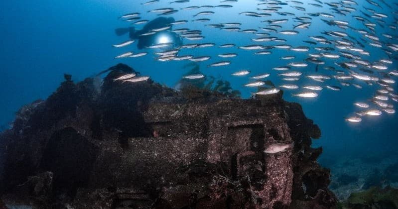 Catalina Island Wreck Dive Specialty: 2-Day PADI Wreck Diver Course in Avalon