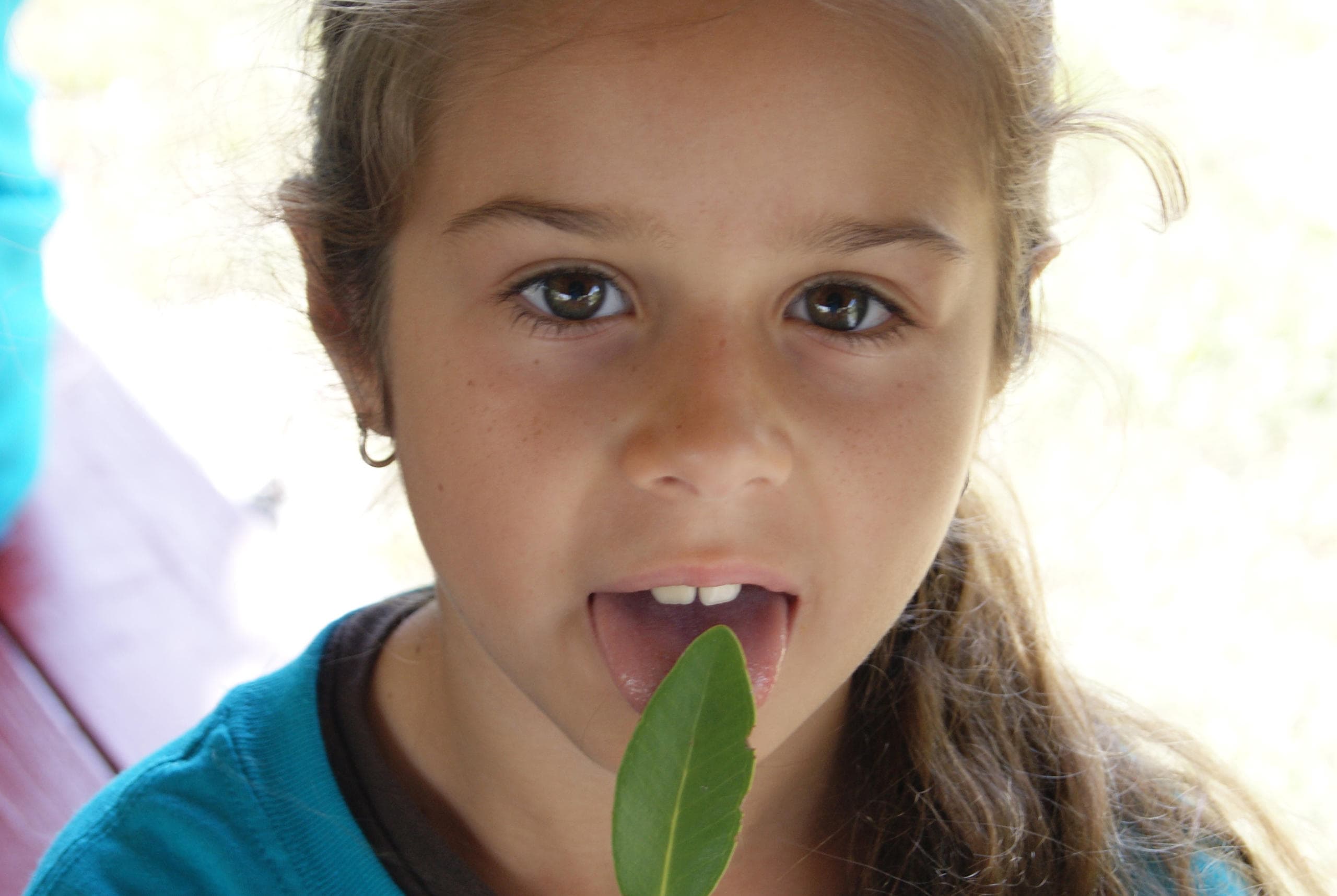 Hands-On Homeschool Field Trips at Loxahatchee River Center