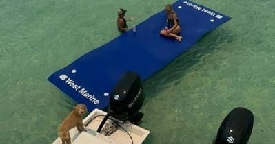 Crab Island Tour with High Toon in Destin: A Water-Filled Day of Fun