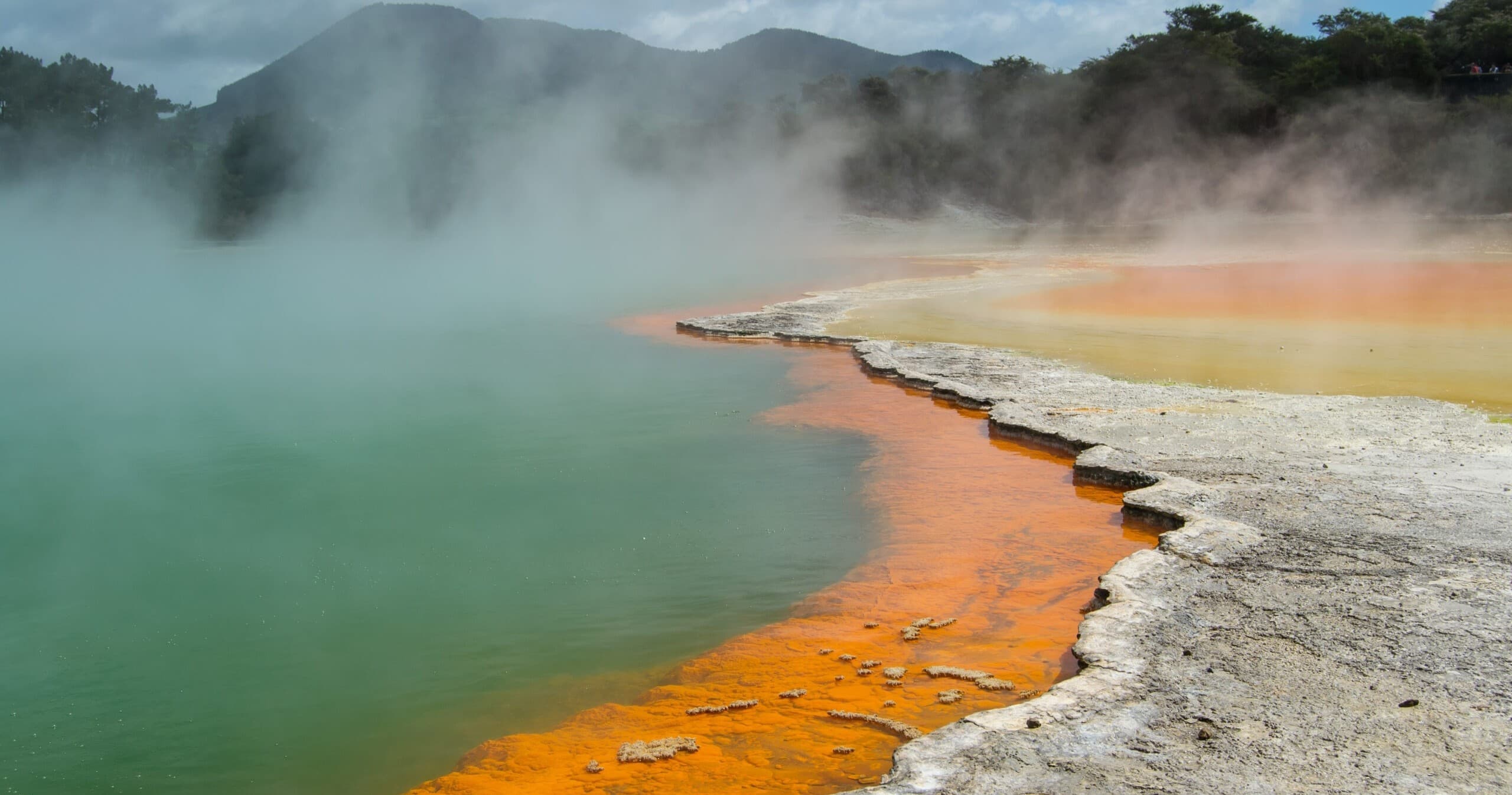 Waitomo Glowworm Caves and Rotorua Day Trip from Auckland — Glowworms, Geysers & Māori Culture