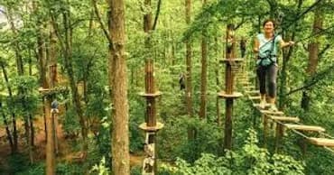 Carolina Treetop Challenge team