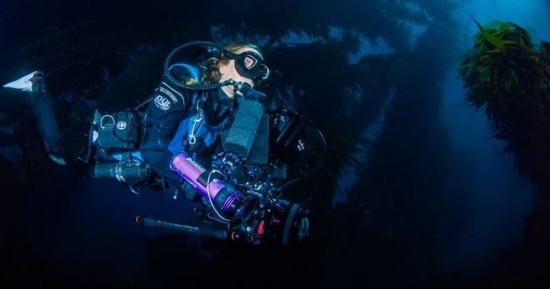 Rent Snorkel Gear on Catalina Island: Catalina Divers Supply A' La Carte Rentals