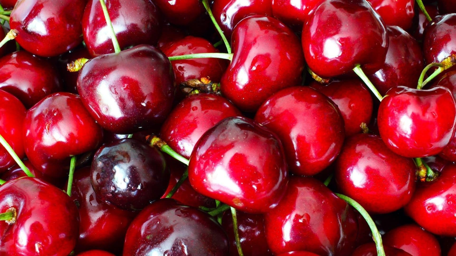 Cherry Fest in Grand Rapids: Celebrate Michigan’s Sweetest Event