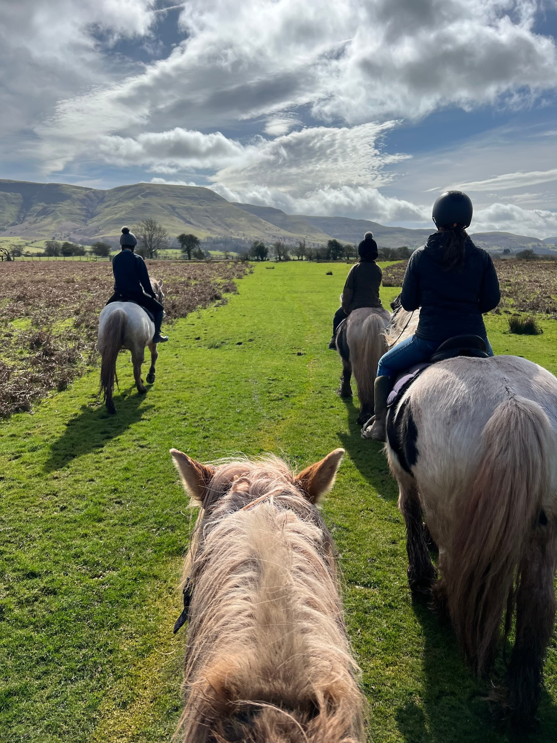 Horseback Trekking with Tregoyd Mountain Riders in Wales