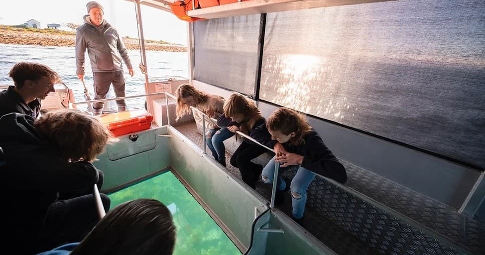 Water Activities & Marine Encounters with Cuttys Tours in Whyalla