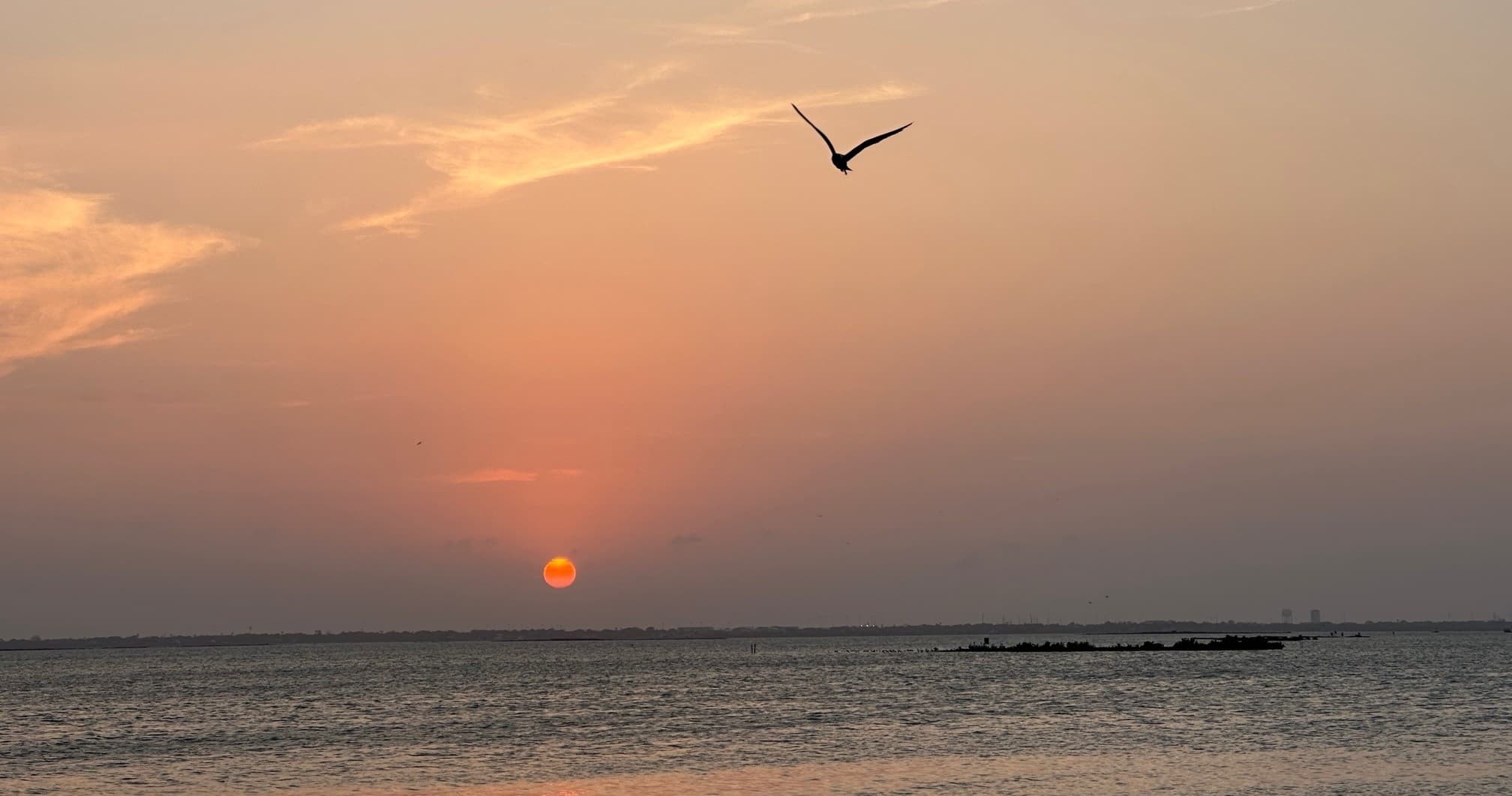 Sunset Cruise on Padre Island with Baywatch Tours Corpus Christi