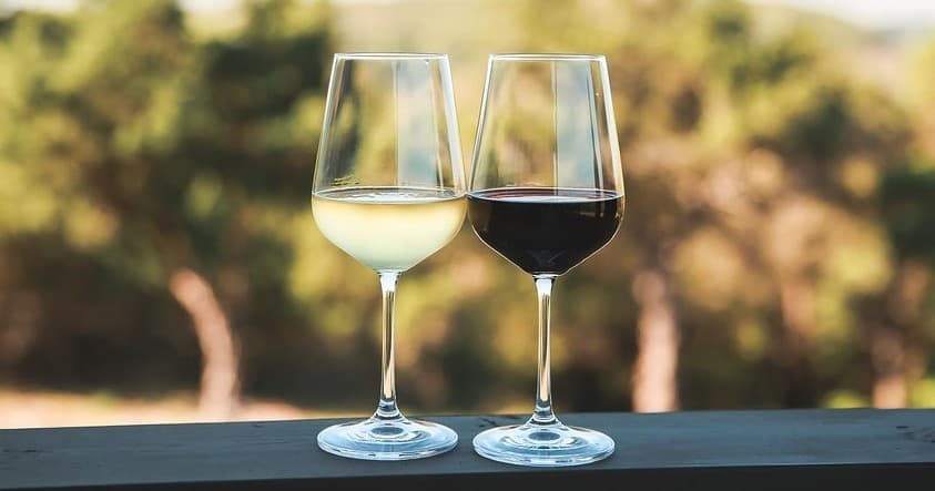 Two wine glasses on vineyard railing at sunset tasting