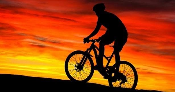 Mountain Biking at Go With The Flo in the Netherlands