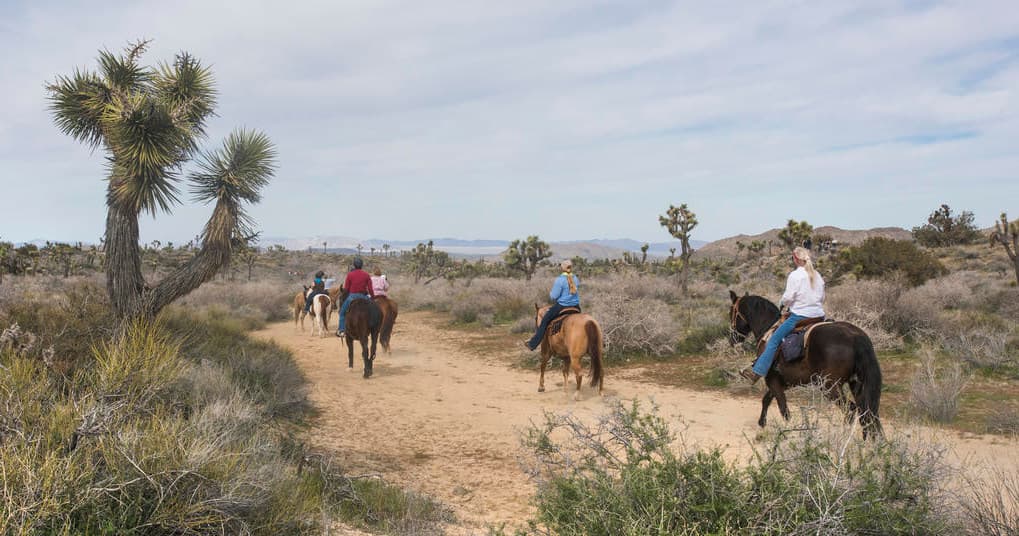 Group trail ride across desert scrub and coastal open landscape