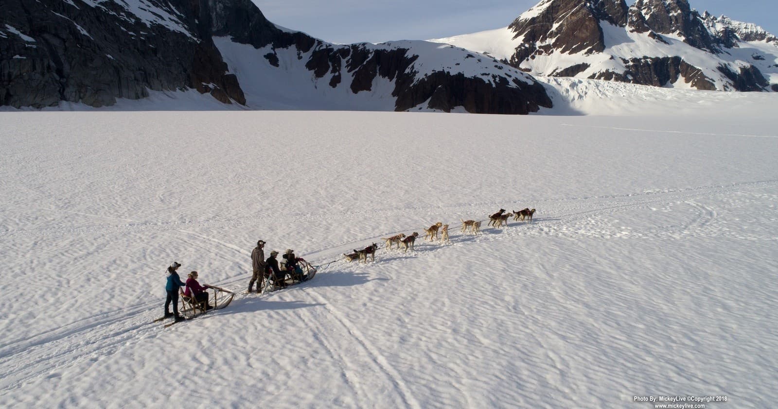 Helicopter Dogsledding on Herbert Glacier: Juneau's Ultimate Summer Glacier Adventure