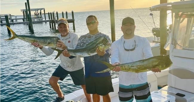 Three anglers displaying mahi mahi catches at sunset dock